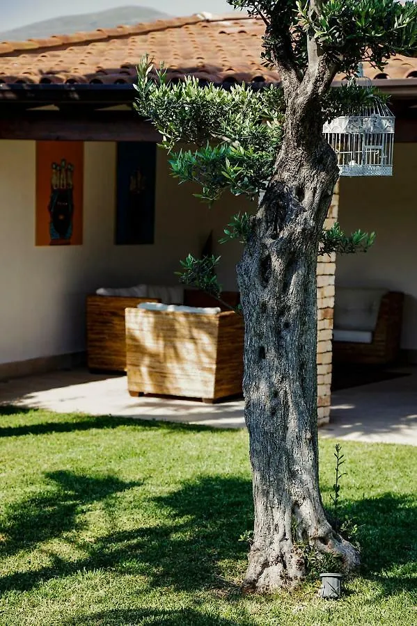 Villa Araucaria Partinico